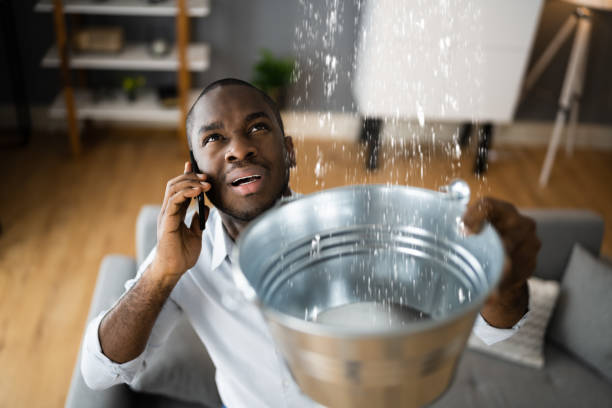 Best Mold removal after water damage  in Pis, AR
