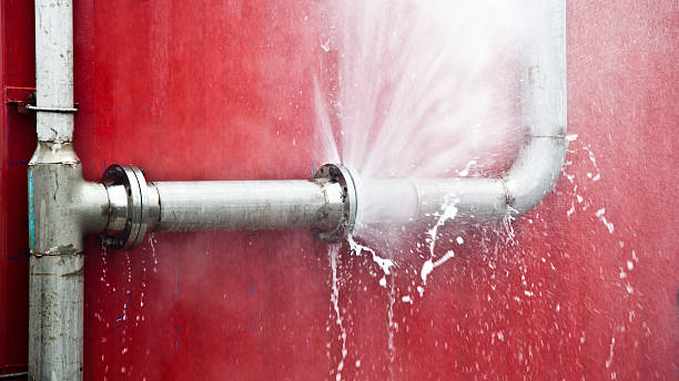 Best Flood restoration services  in Pis, AR